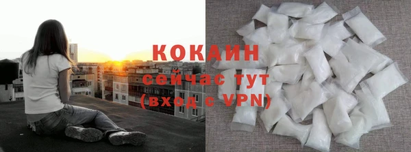 сатива Строитель