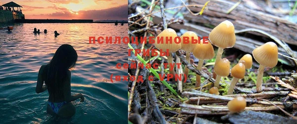 кокаин перу Белокуриха